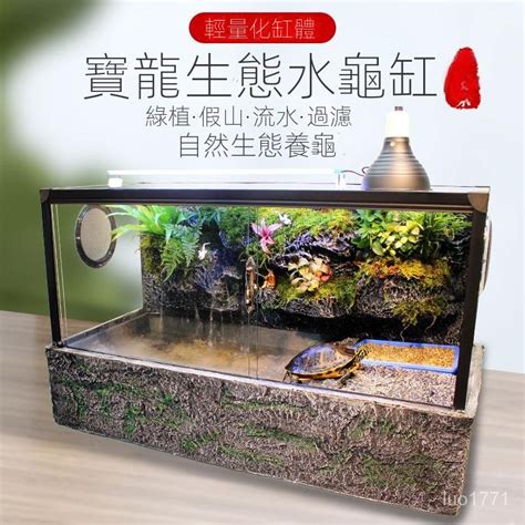 龜缸意思|【烏龜缸diy】最全烏龜缸布置、造景、換水總整理，新手不煩惱